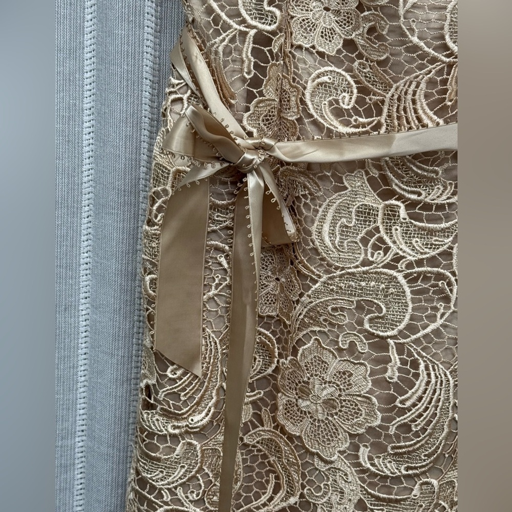 Adrianna Papell Strapless Embroidered Lace Cocktail Dress Gold Beige Size‎ 6 EUC - Picture 5 of 15